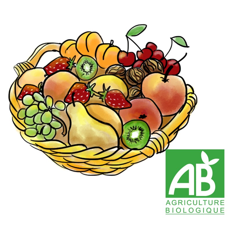 Abonnement mensuel panier de fruits bio