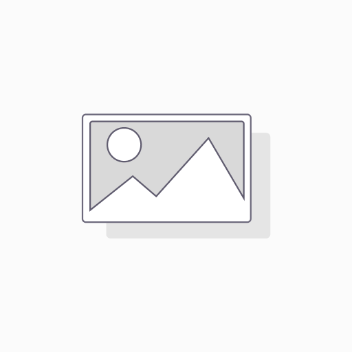 SUCRE BUCHETTE - BIO - 4 G - PAR 500 - GOOD DAILY
