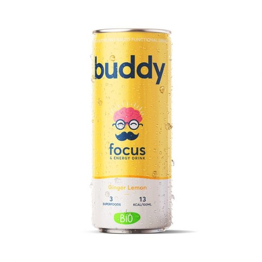 [BIF-BOI-041-1491] BOISSON ENERGISANTE CITRON ET GINGEMBRE | BIO - 25 CL - Par 12 - BUDDY