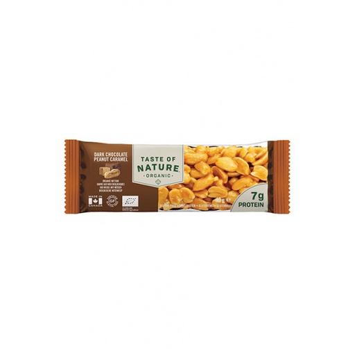 [SNE-1768] BARRE CHOCOLAT PEANUT CARAMEL - BIO - 40 G - PAR 16 - TASTE OF NATURE